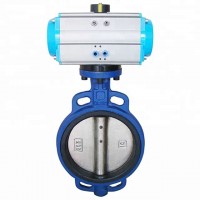 Low price pneumatic cf8m butterfly check valve dn100